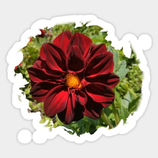 Bright Red Dahlia Sticker